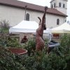 phoca_thumb_m_dsc05039
