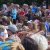 phoca_thumb_s_dsc05773